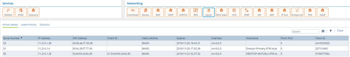 Monitor tab (showing DHCP Active Leases for an appliance)