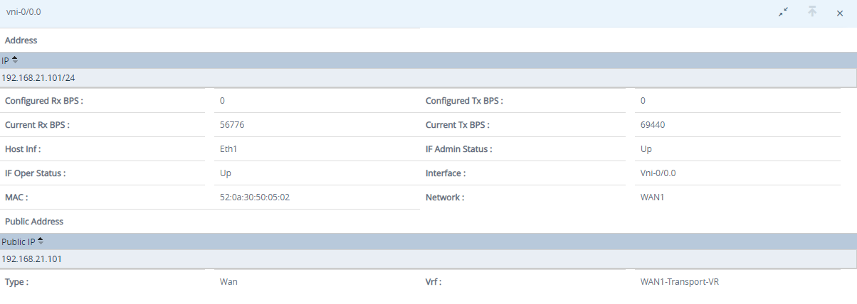 Monitor tab (showing Interfaces tab showing detail for an appliance)