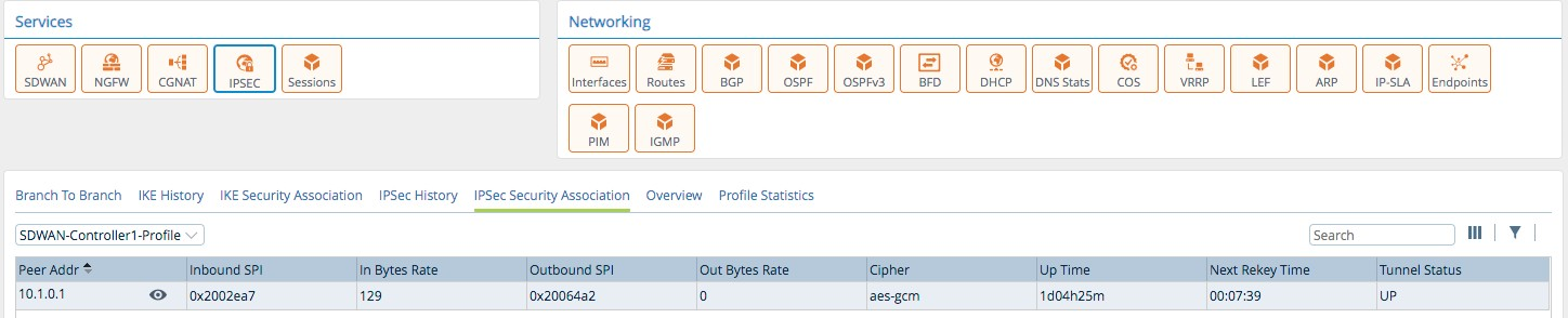 Monitor tab (showing IPSec Security Assocations tab for an appliance)